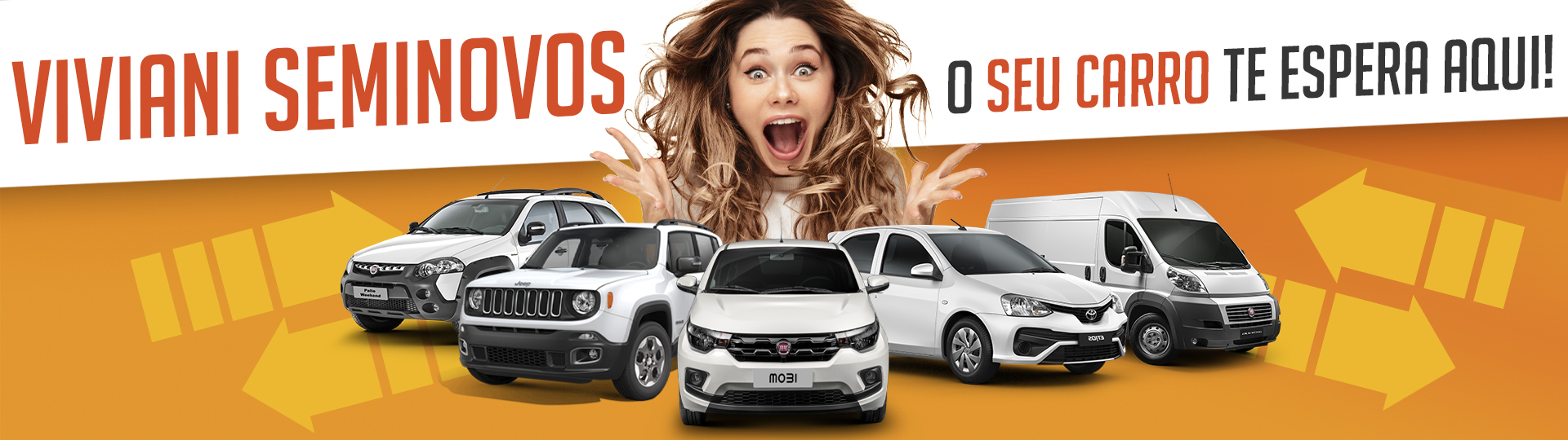 Viviani Seminovos, Banner de divulgação